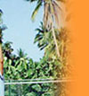 Tennis and beach resort holiday, an Affordable vacation